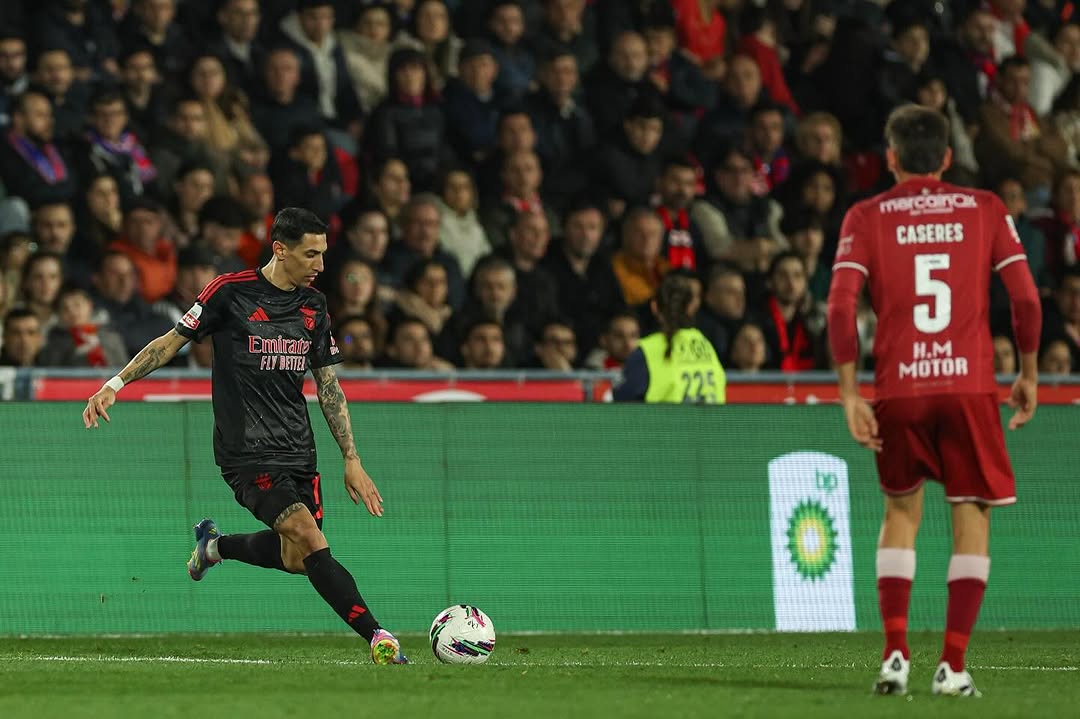 开云体育网页版登录入口关于塞维利亚训练开放日；冲刺阶段绝杀压哨引欢呼；意甲在即；细节决定成败的信息